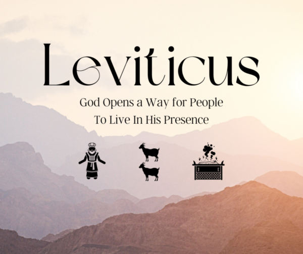 Leviticus 1-7 Image